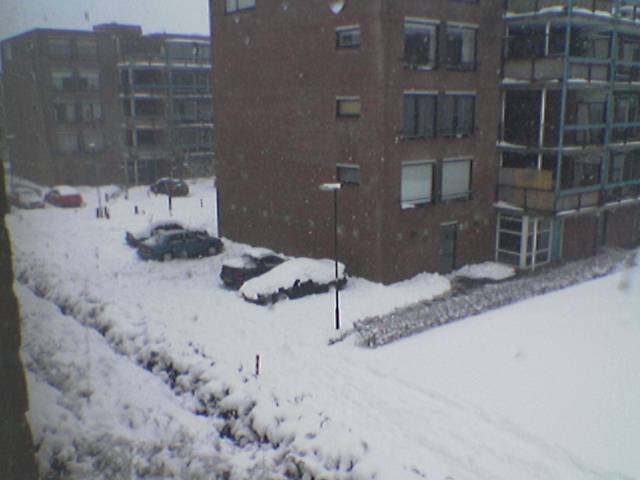 snow11.jpg