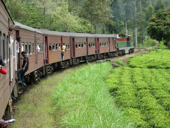 train & Tea (568 x 426).jpg