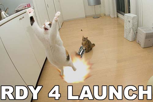 Launch.jpg